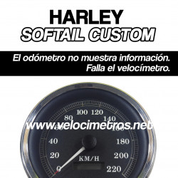 REPARACIÓN CUENTAKILÓMETROS HARLEY SOFTAIL CUSTOM