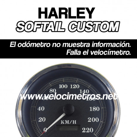 REPARACIÓN CUENTAKILÓMETROS HARLEY SOFTAIL CUSTOM